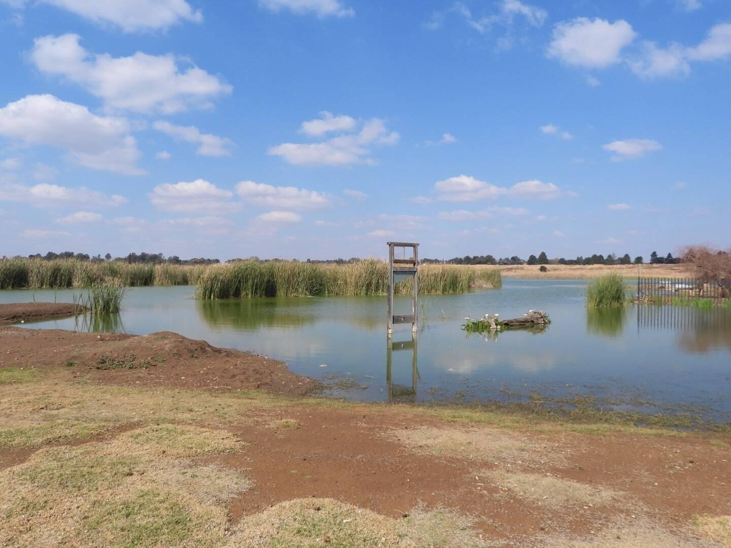 Bullfrog Dam