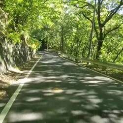 Fahrt auf der German Romantic Road
