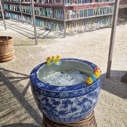 Ein Becken mit Gummi-Enten 😅