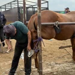 In 2 Boxen wurde im Akkord gearbeitet.