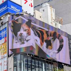 Animierte Riesenkatze