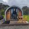 The pod- cute and cozy!
