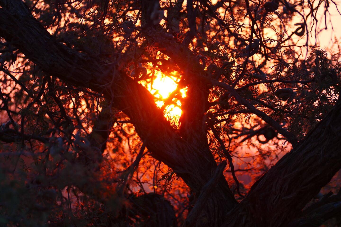 Sonnenaufgang