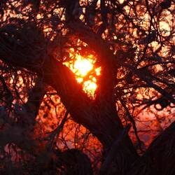 Sonnenaufgang