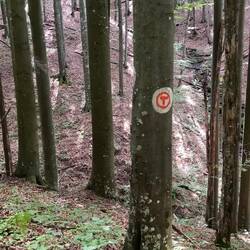 Unglaubliche Stille