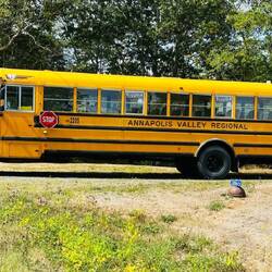 Ich liebe diese Schulbusse