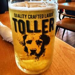 Lecker Bier nach deutscher Art gebraut