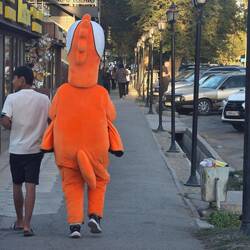 Inexplicable bird costume