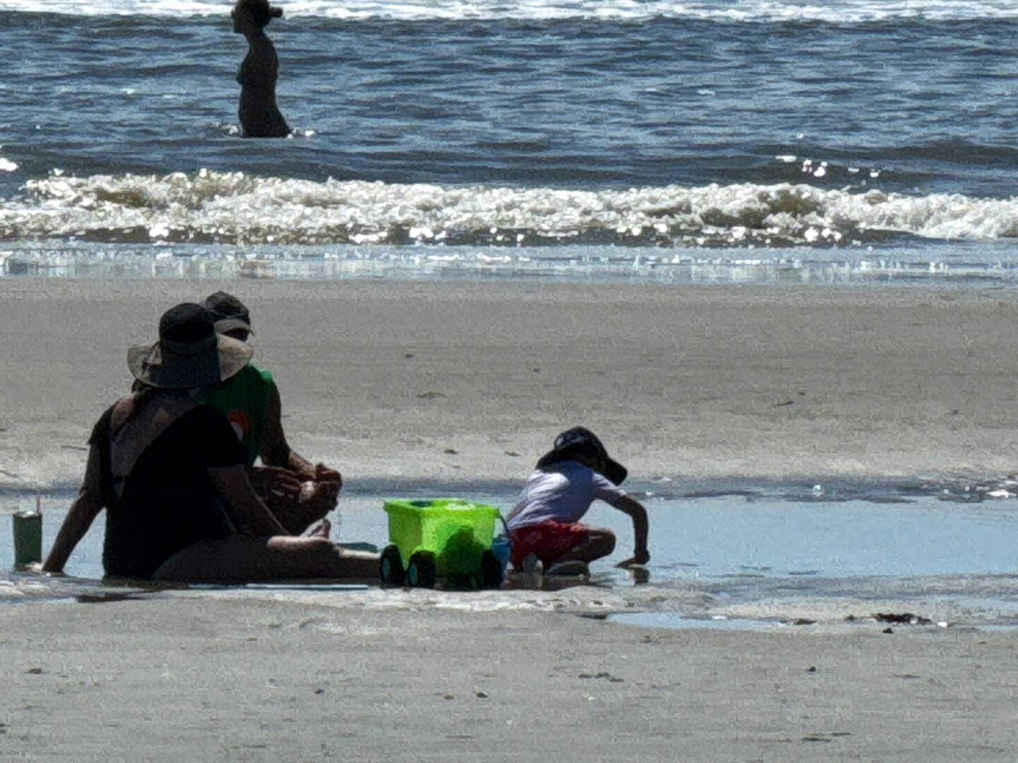 Beach day with Teddy!