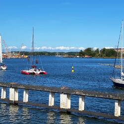 Heute waren alle nochmal mit ihren Booten draußen