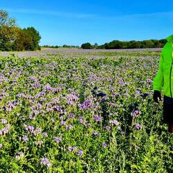 Fast wie in der Provence