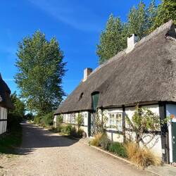 Reetdach in Sieseby
