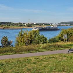 Für mich immer wieder faszinierend