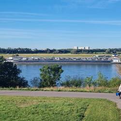 Der ganze Frachter voller Autos