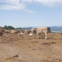 Wenn es Ihnen gefällt🤷‍♂️