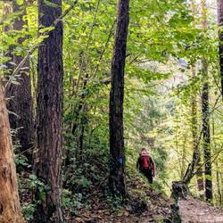 Alpe Adria Trail