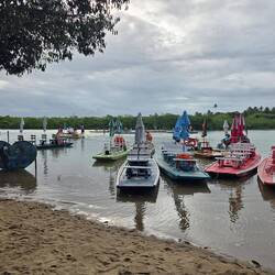 Mit dem Boot zu den Seepferdchen