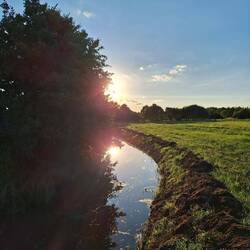 Vor uns Idylle. Hinter uns die A9. Tsss! Wo man so landet