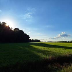 Wo sind die Kraniche