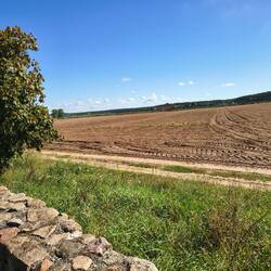Hier war einmal Meeresboden und der Teil gehörte zu Sachsen