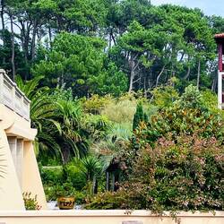 Vegetación típica del lugar