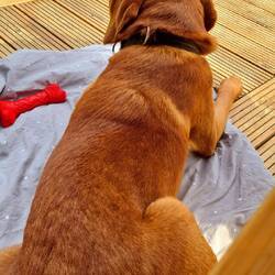 chill out im garten unserer unterkunft🥰