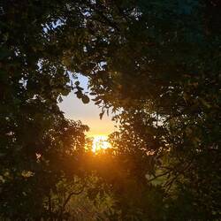 sonnenaufgang heute morgen in frankreich