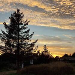 Home sweet home - Blick zum Nachbarn
