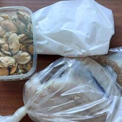 Unser allererster Einkauf im Fischladen: 2 Schollen, geräucherte Muscheln& geräucherter Heilbutt 😋