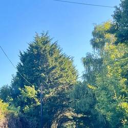 On the road to Shipdham