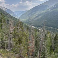 I've stopped to snap this shot of US-40 in upper Clear Creek Valley as I ascend the Berthoud Pass