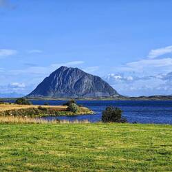 Am Wegesrand Richtung Leknes