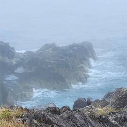 Foggy and Misty