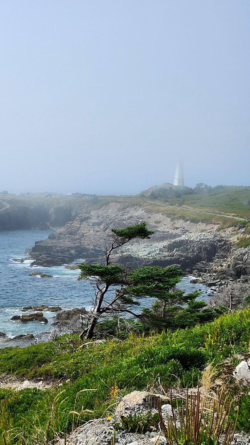 Louisbourg Lighthouse trail