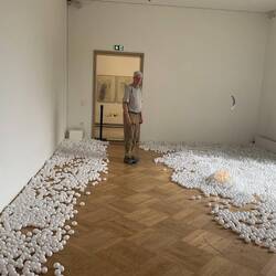 Modern art installation depicting our feathered friends!