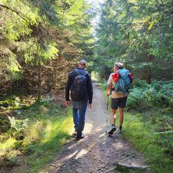 Der Rothaarsteig ist wieder erreicht.