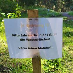 Auch an die Molche wird gedacht!☝️