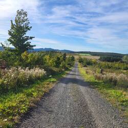 Wanderautobahn auf der Zielstrecke nach Winterberg.