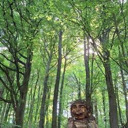 Und bei dem Sonnenschein ein so magischer Ort!