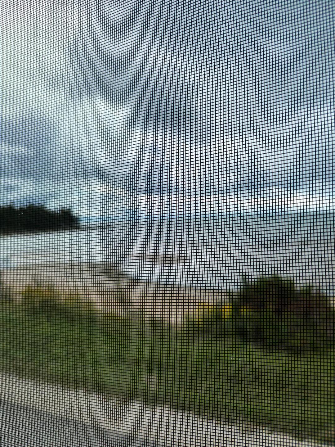 Thru the screen glimpses..