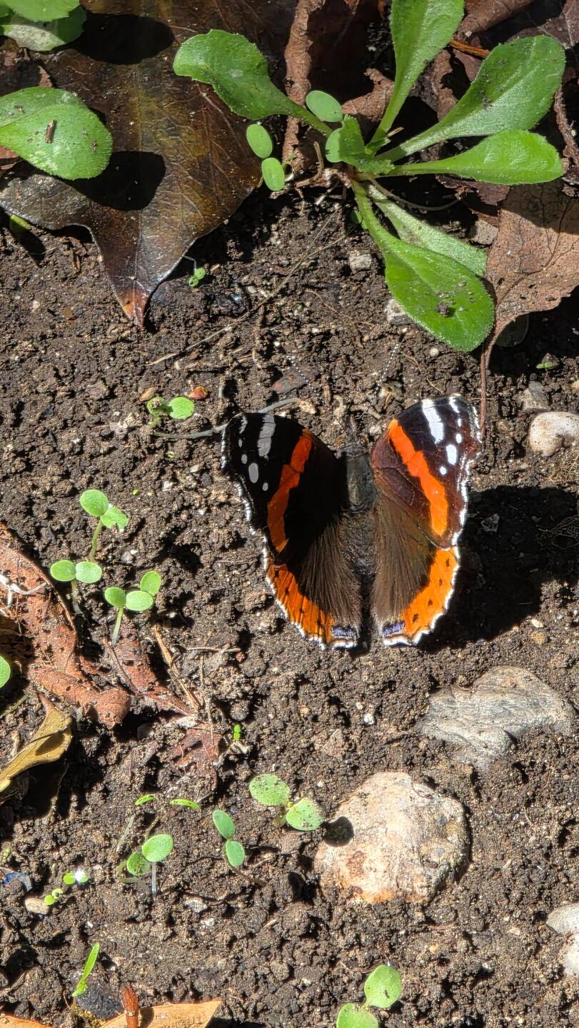 Besuch auf dem CP