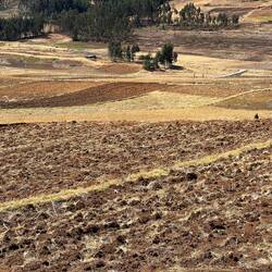 Agricultural land around 3000m