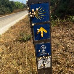 First noticed yesterday snails that congregate on things. Disgusting.