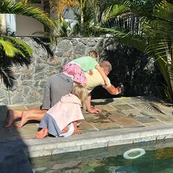 Hier wird eine Eidechse fotografiert