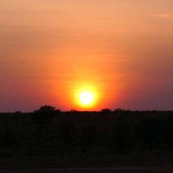 Sonnenaufgang über Kgalagadi