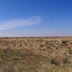 Panorama des Kgalagadi Transfrontier Park