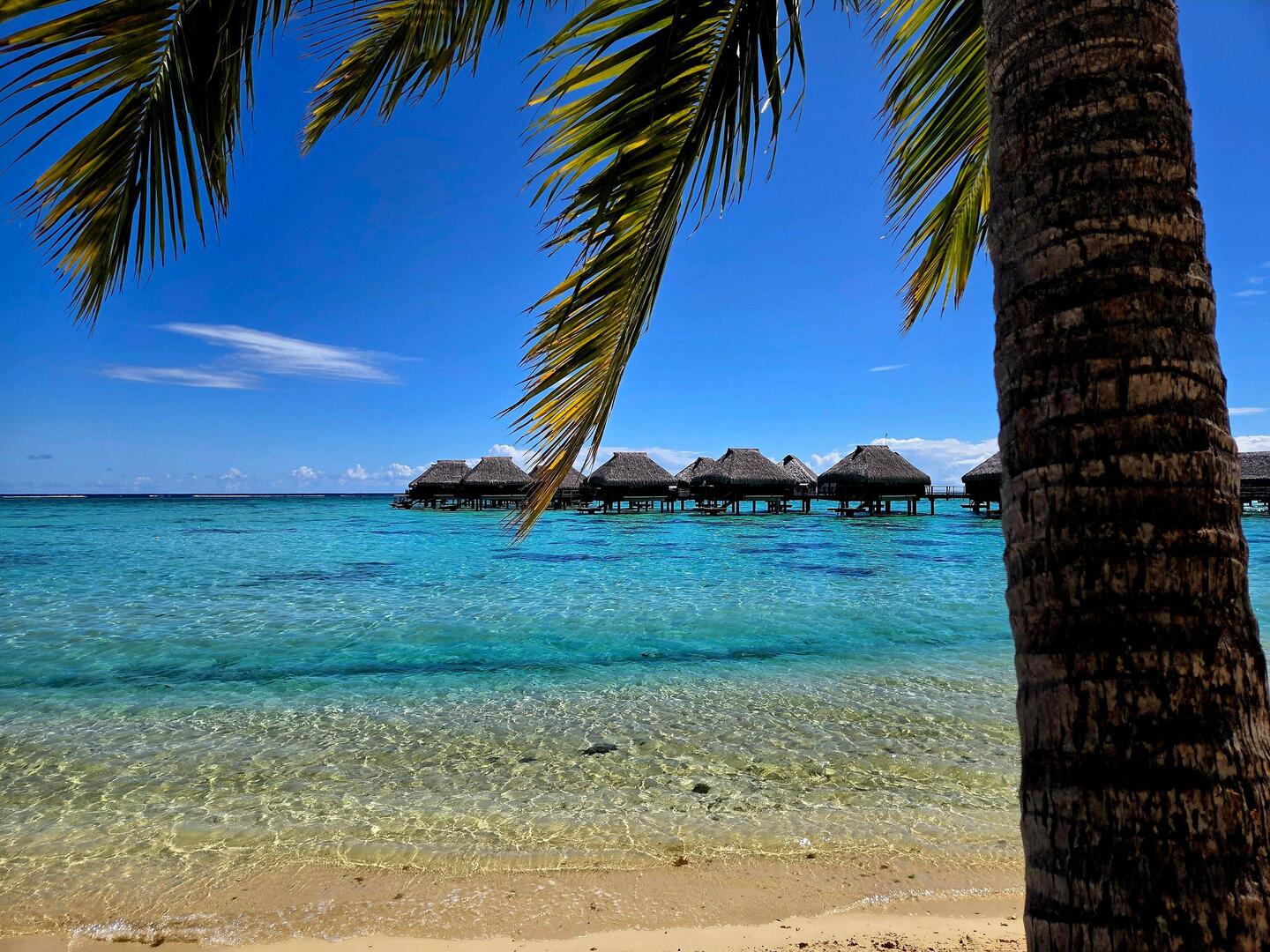 Le Hilton de Moorea