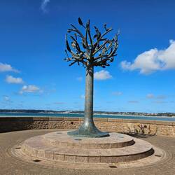 Der "Freedom Tree"