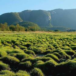 Der "Uluru/ Ayers Rock" Norwegens