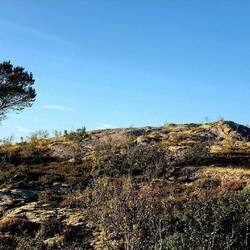 ........auf den Hausberg von Salsnes